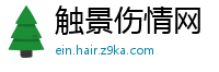 触景伤情网